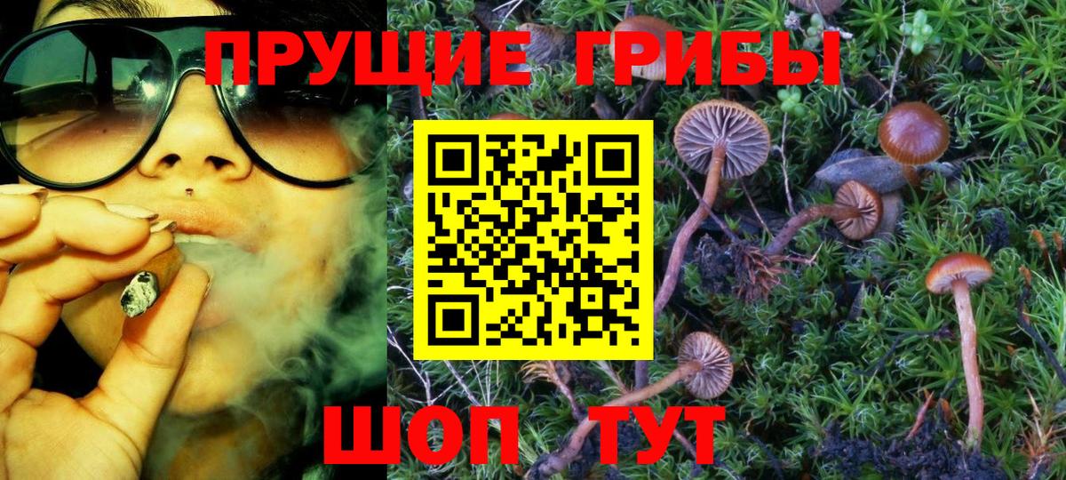 Галлюциногенные грибы ЛСД  Псилоцибиновые грибы прущие грибы  Полысаево  купить закладку  Вход с VPN 